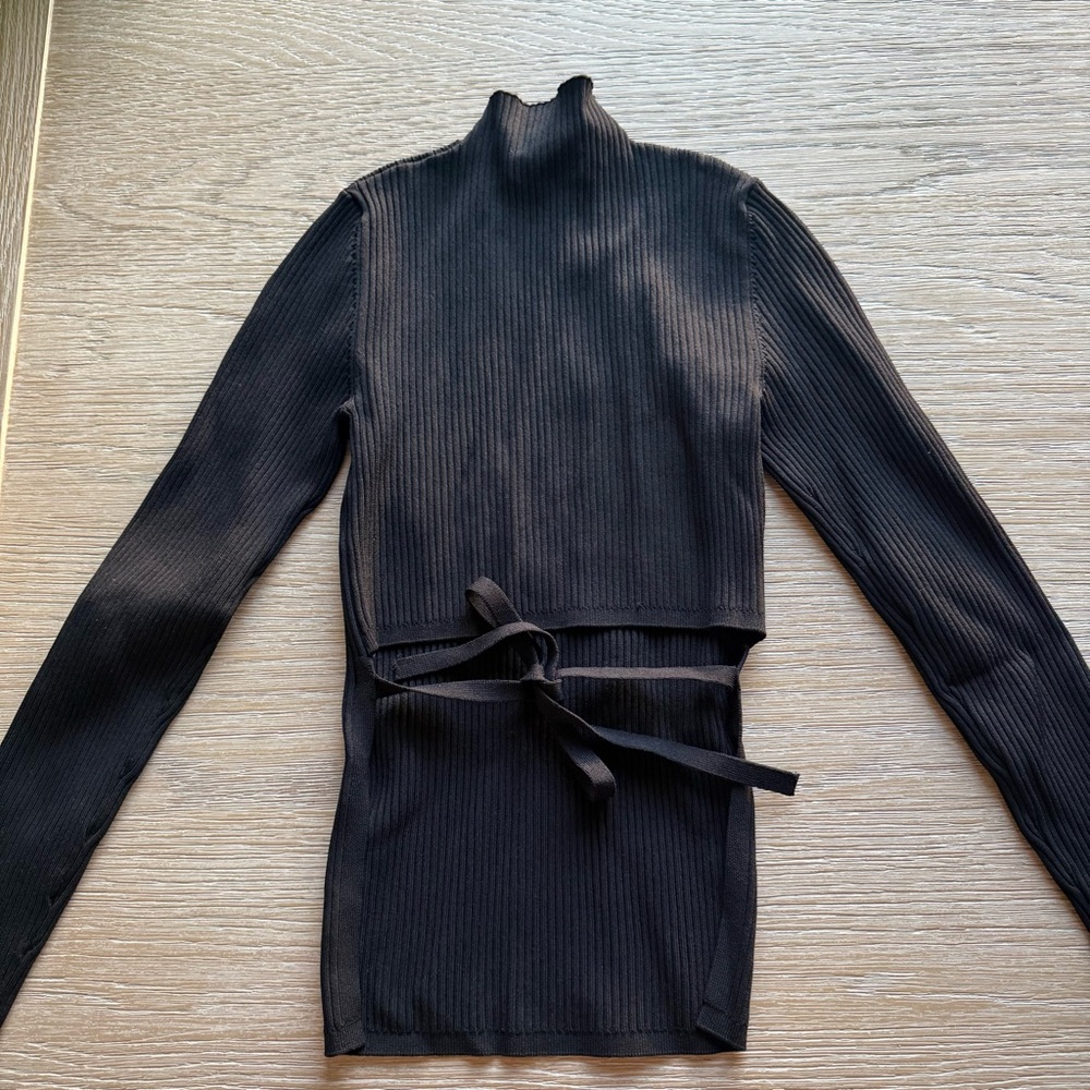 Aritzia Charcoal Ribbed Knit Top (interesting lower back cut)